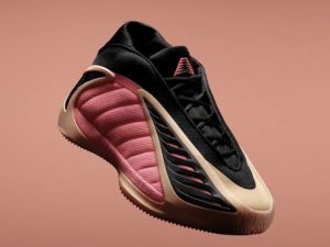 Basketball shoes  «AE 2»