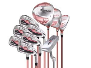 Ensemble de clubs de qualité premium
